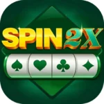Spin-2x